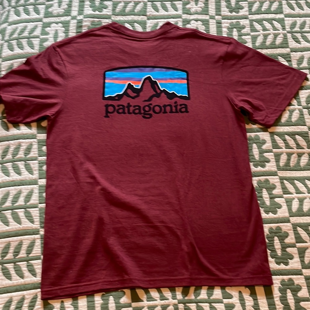 Patagonia logo tee